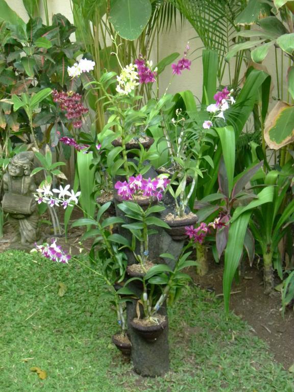 Villa Sipo Seminyak Pokój zdjęcie